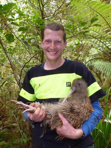 DOC Biodiversity Ranger Pete McMurtrie with one of the two breeding Kiwis introduced to Sinbad Gully